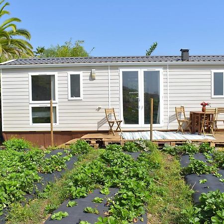 Casitas Mobil Home Mazo 外观 照片
